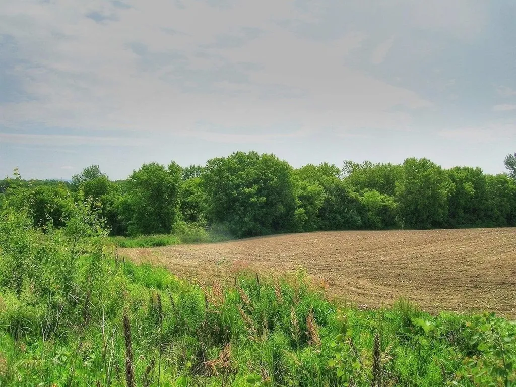 0 South Bingham Street Cornwall VT 05753