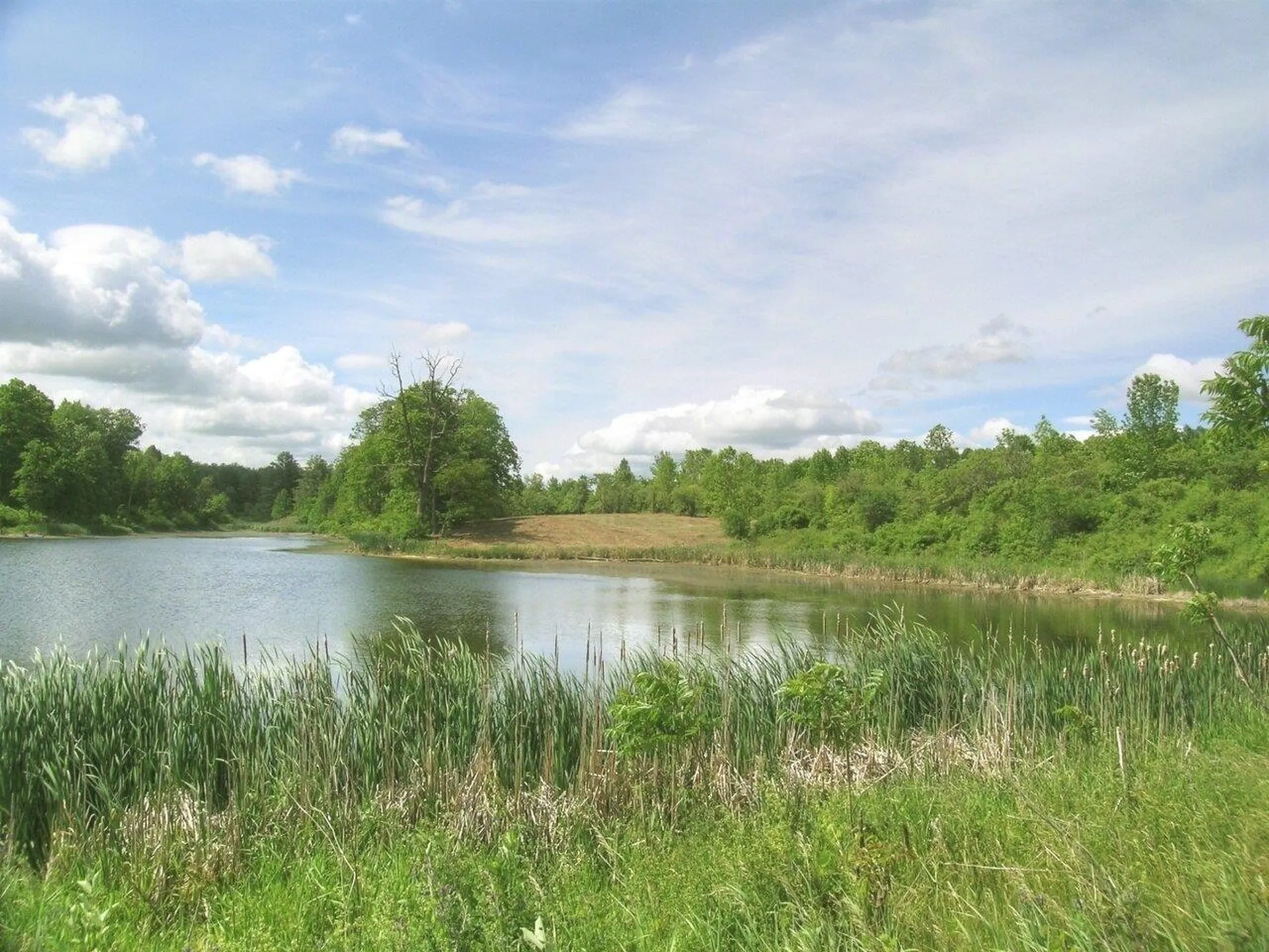 0 South Bingham Street Cornwall VT 05753