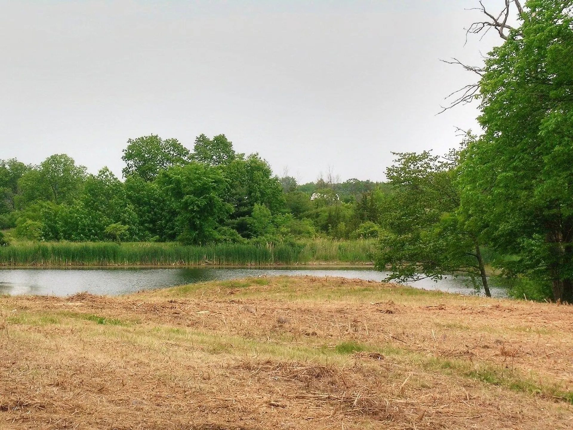 0 South Bingham Street Cornwall VT 05753