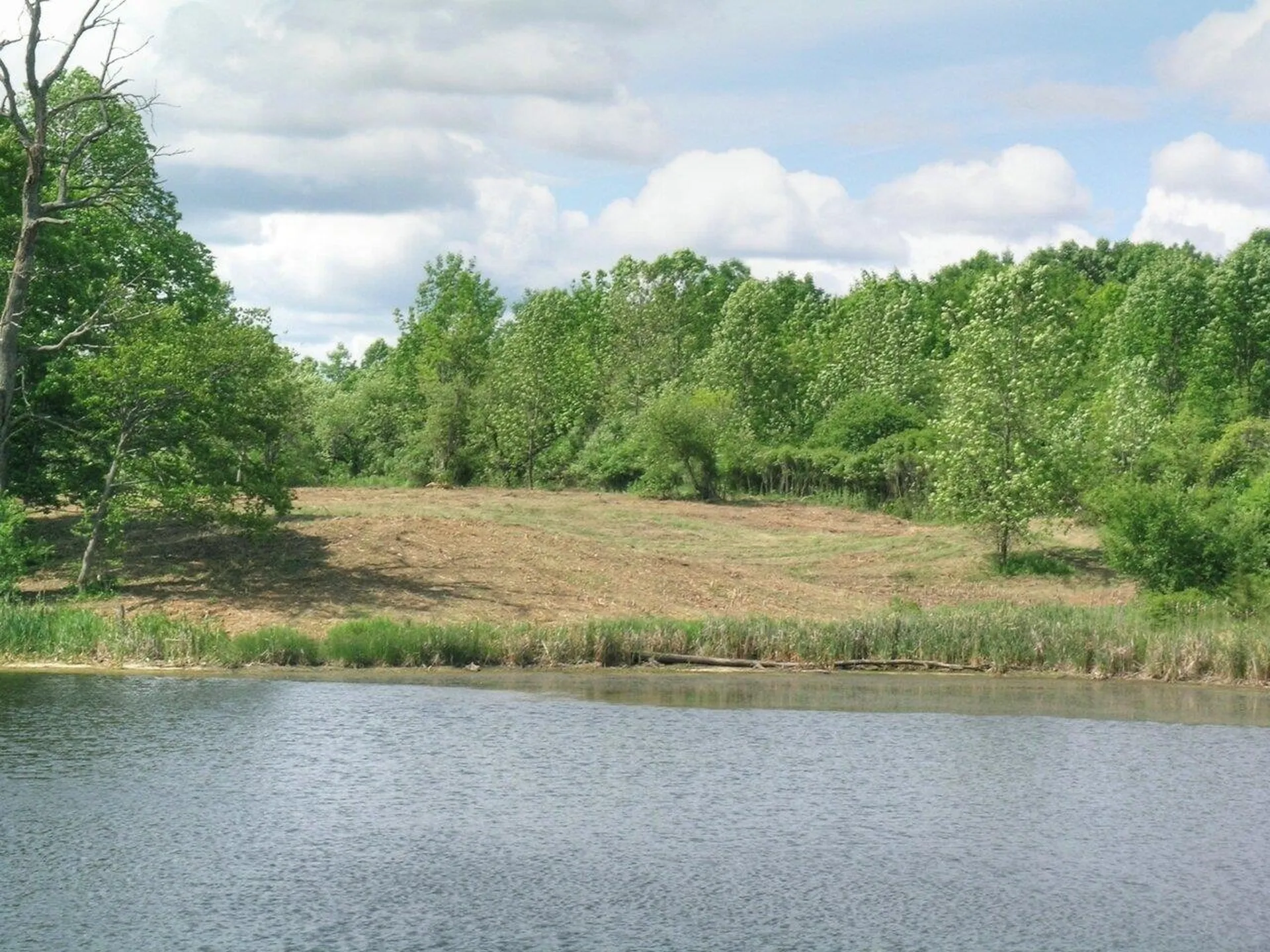 0 South Bingham Street Cornwall VT 05753