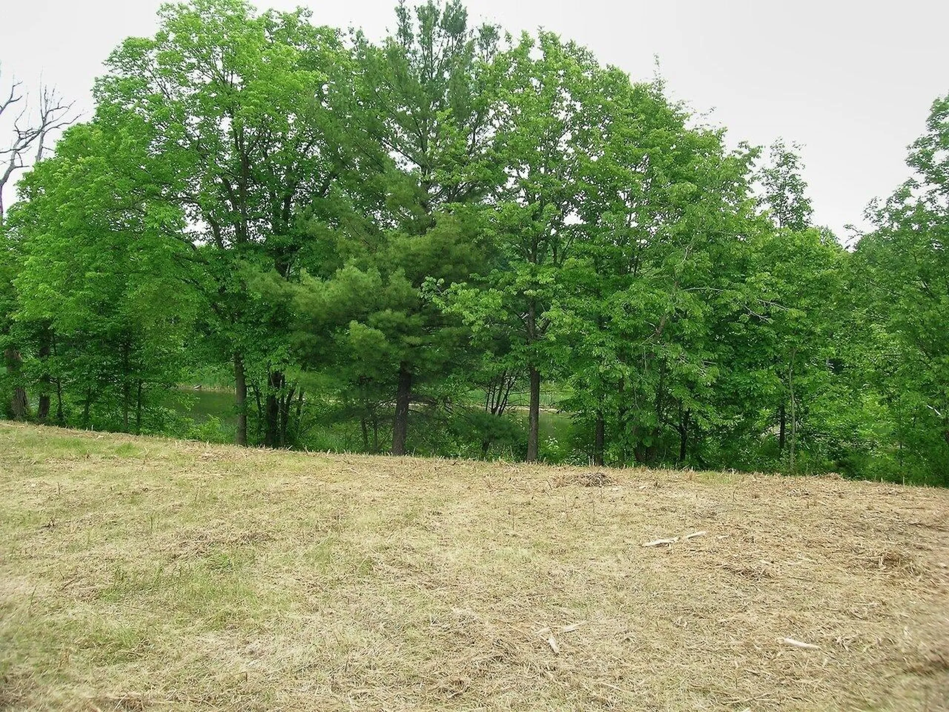 0 South Bingham Street Cornwall VT 05753