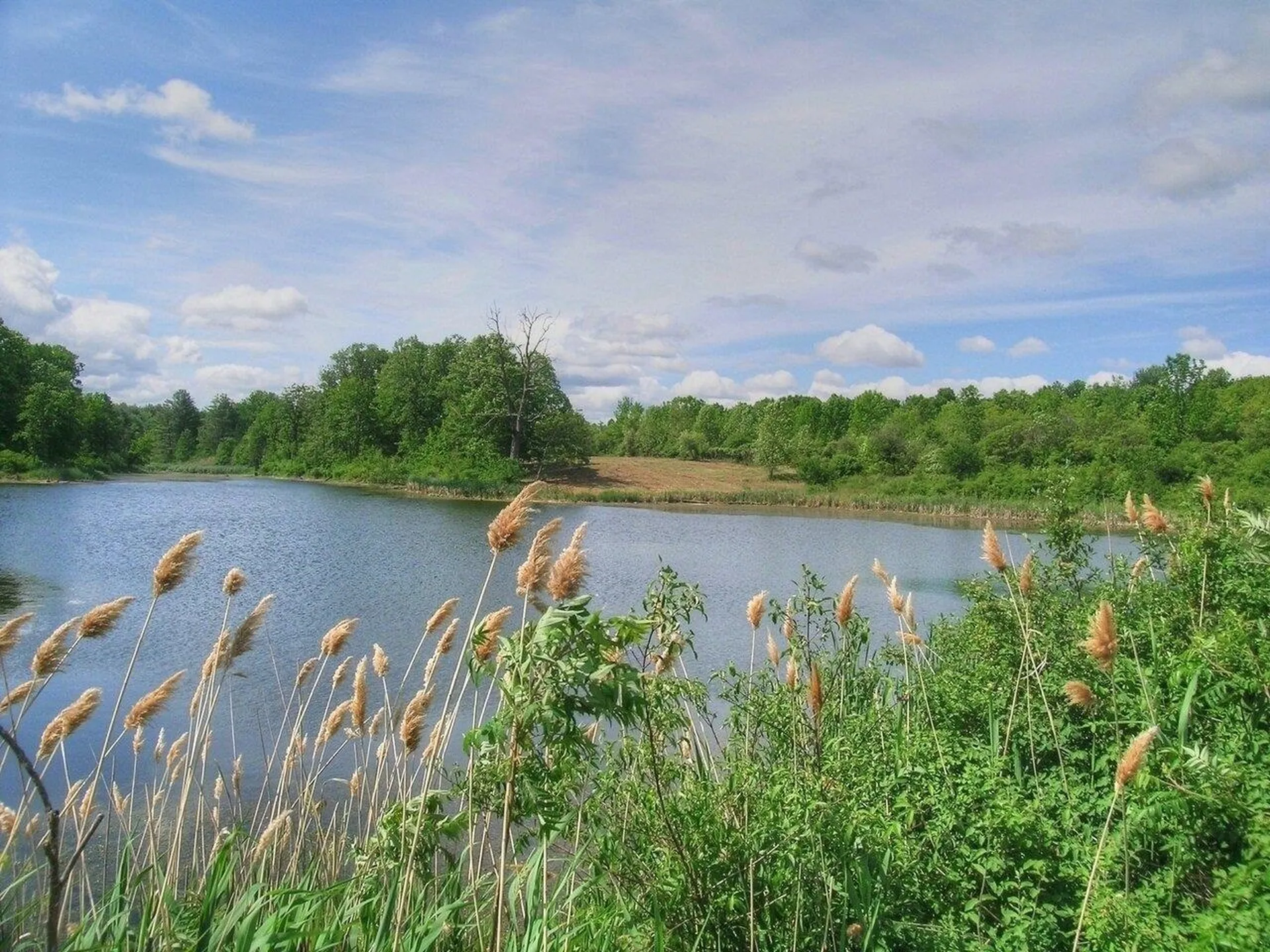 0 South Bingham Street Cornwall VT 05753