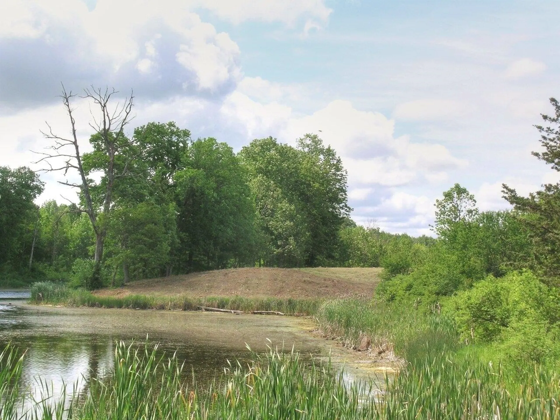 0 South Bingham Street Cornwall VT 05753