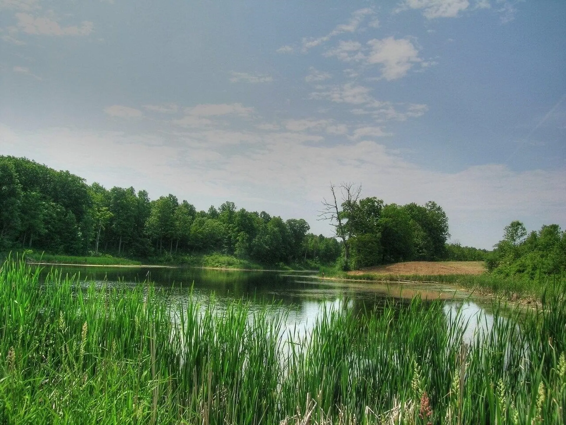 0 South Bingham Street Cornwall VT 05753