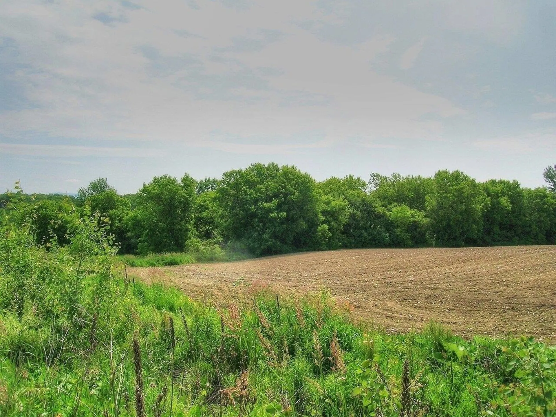 0 South Bingham Street Cornwall VT 05753