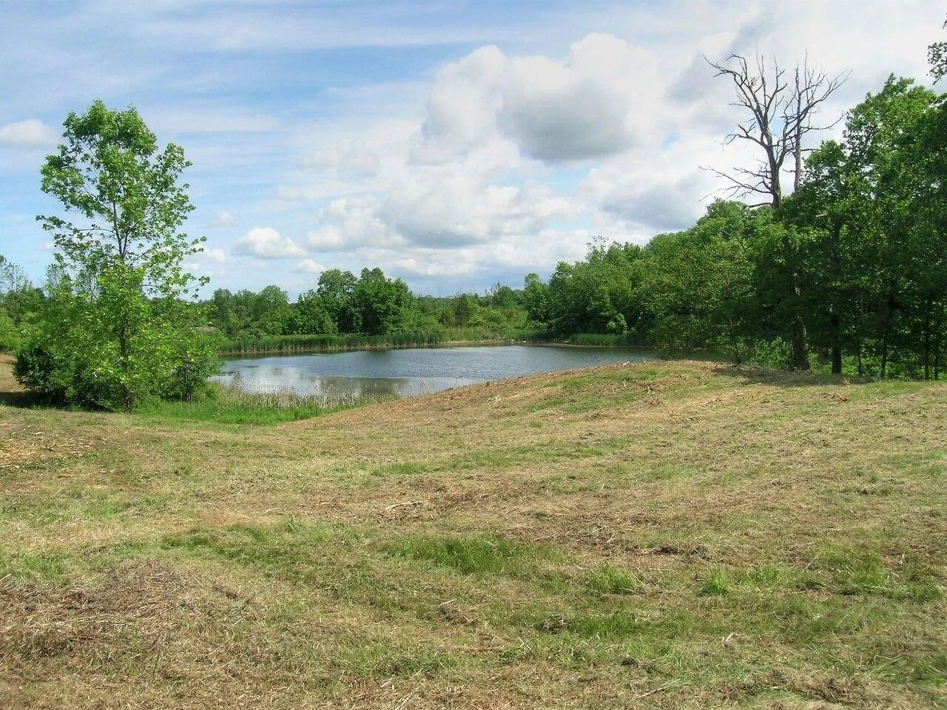 0 South Bingham Street Cornwall VT 05753