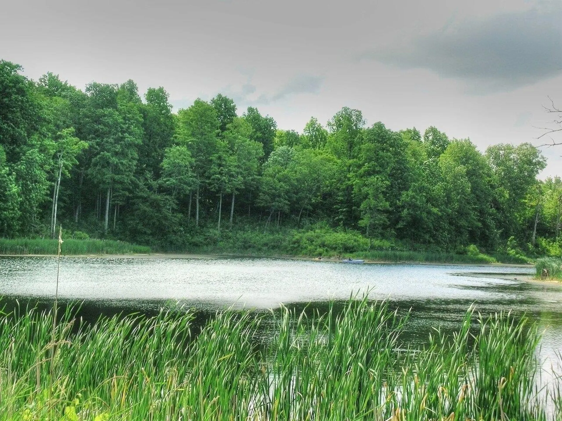 0 South Bingham Street Cornwall VT 05753