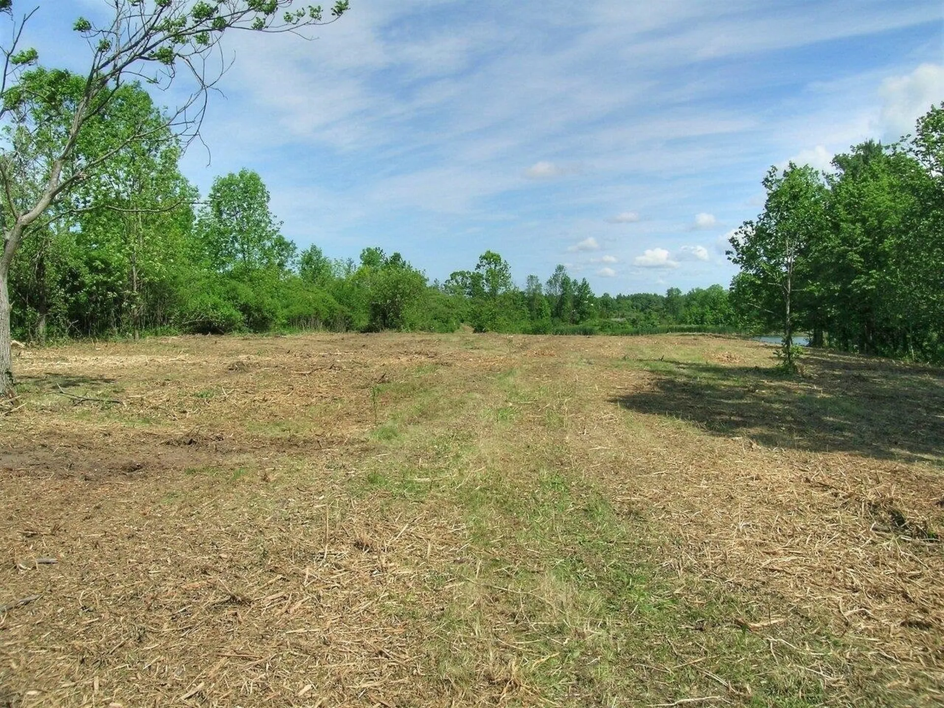 0 South Bingham Street Cornwall VT 05753