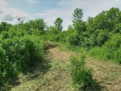 0 South Bingham Street Cornwall VT 05753