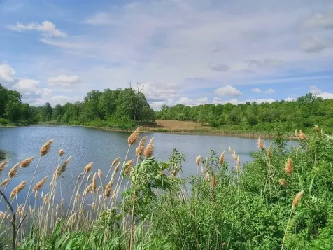 0 South Bingham Street Cornwall VT 05753