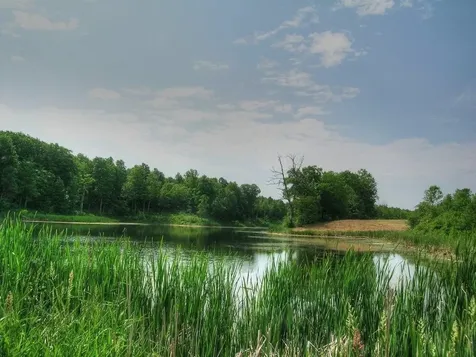 0 South Bingham Street Cornwall VT 05753