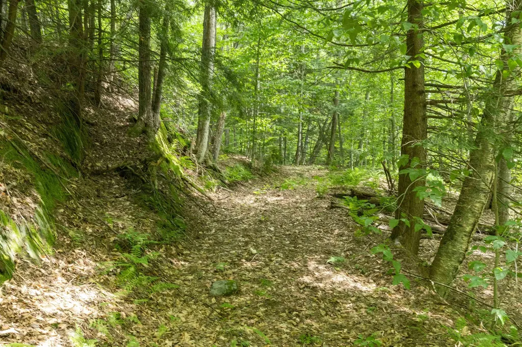 Tbd Taylor Road Duxbury VT 05660