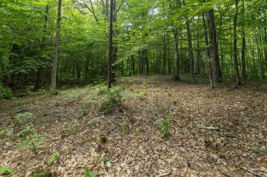 Tbd Taylor Road Duxbury VT 05660