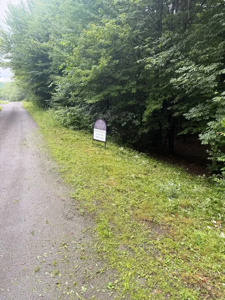 Tbd Taylor Road Duxbury VT 05660