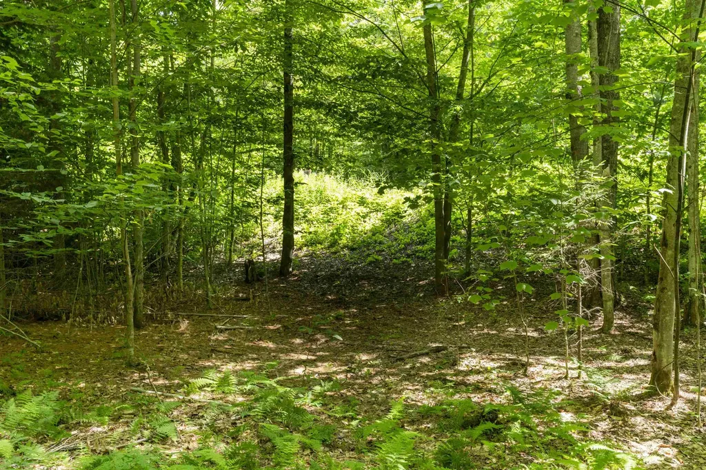 Tbd Taylor Road Duxbury VT 05660