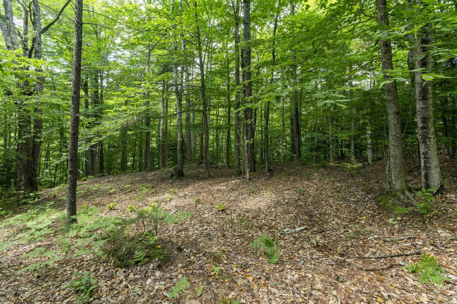 Tbd Taylor Road Duxbury VT 05660