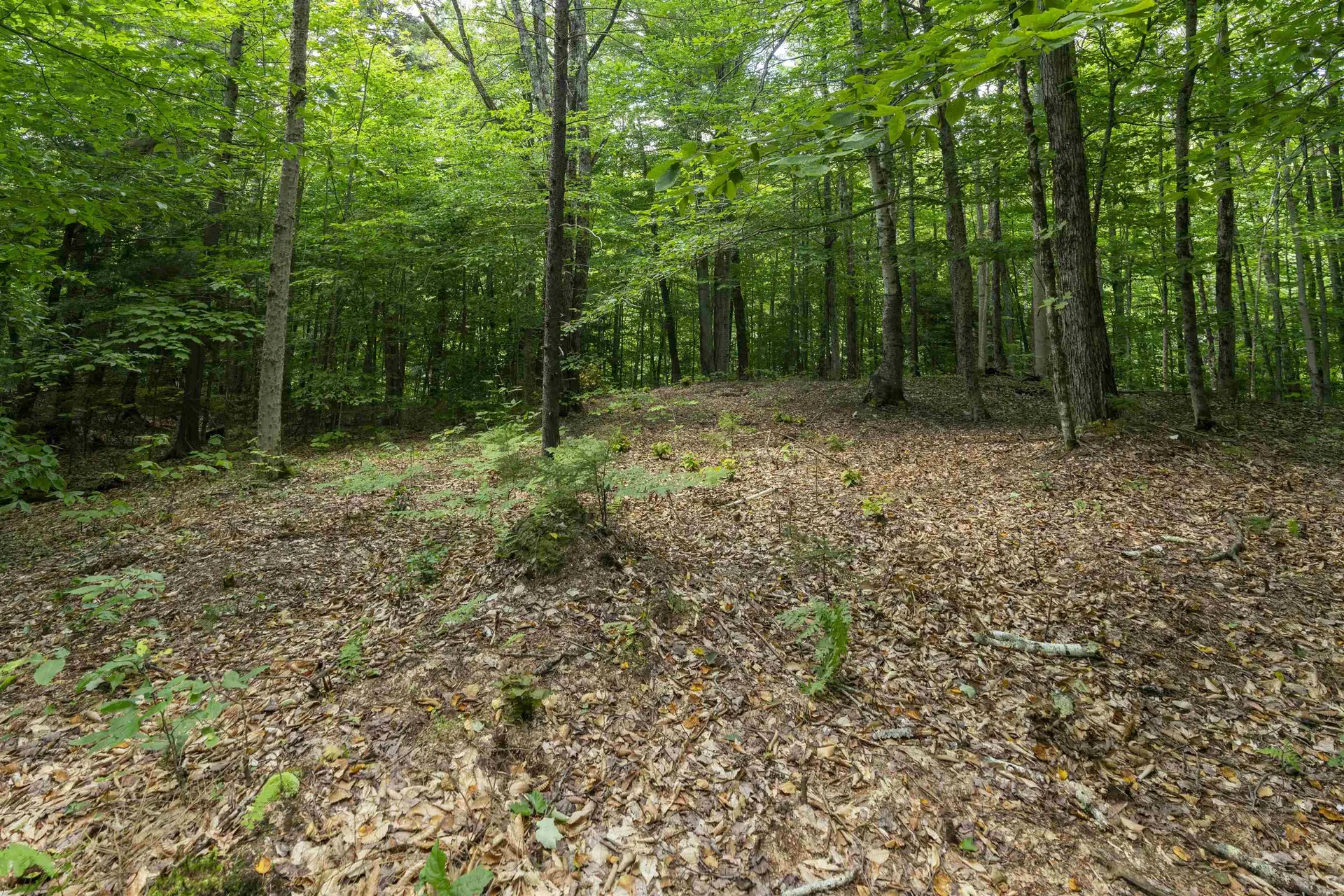 Tbd Taylor Road Duxbury VT 05660