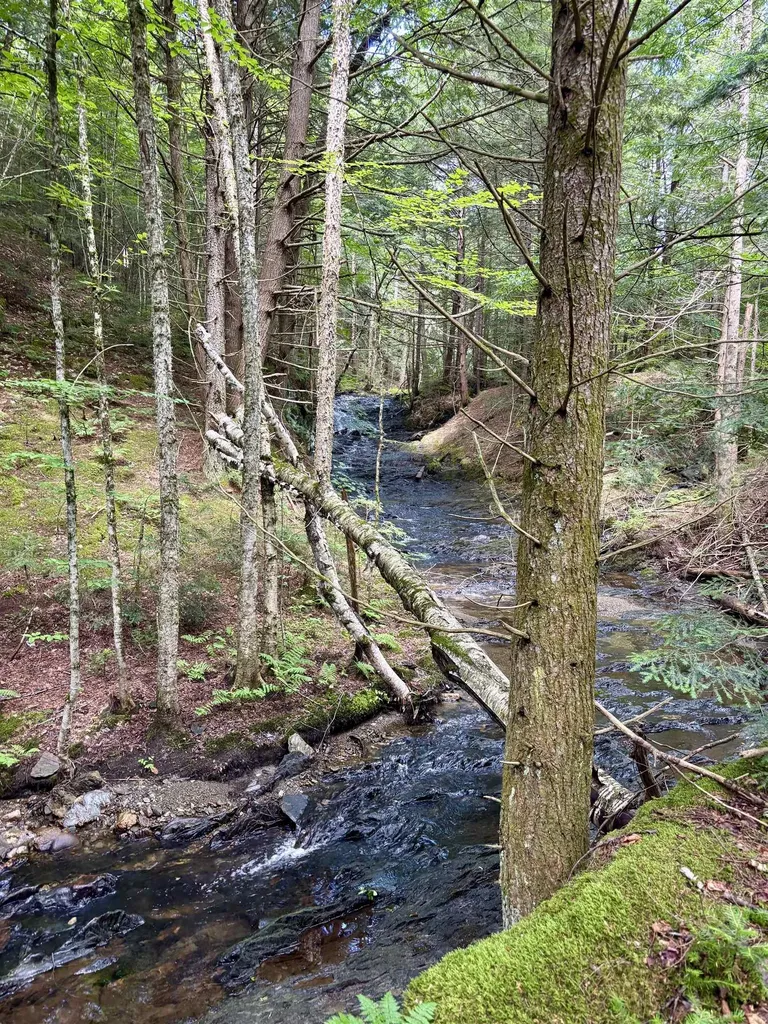 Tbd Wilder Road Duxbury VT 05660