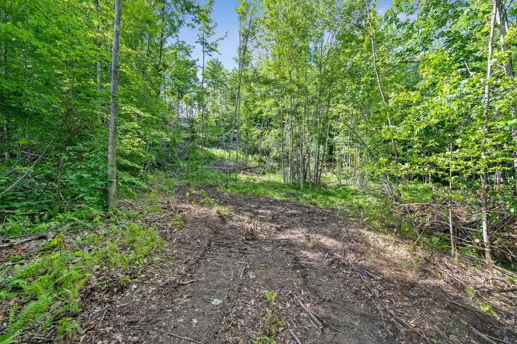Tbd Wilder Road Duxbury VT 05660