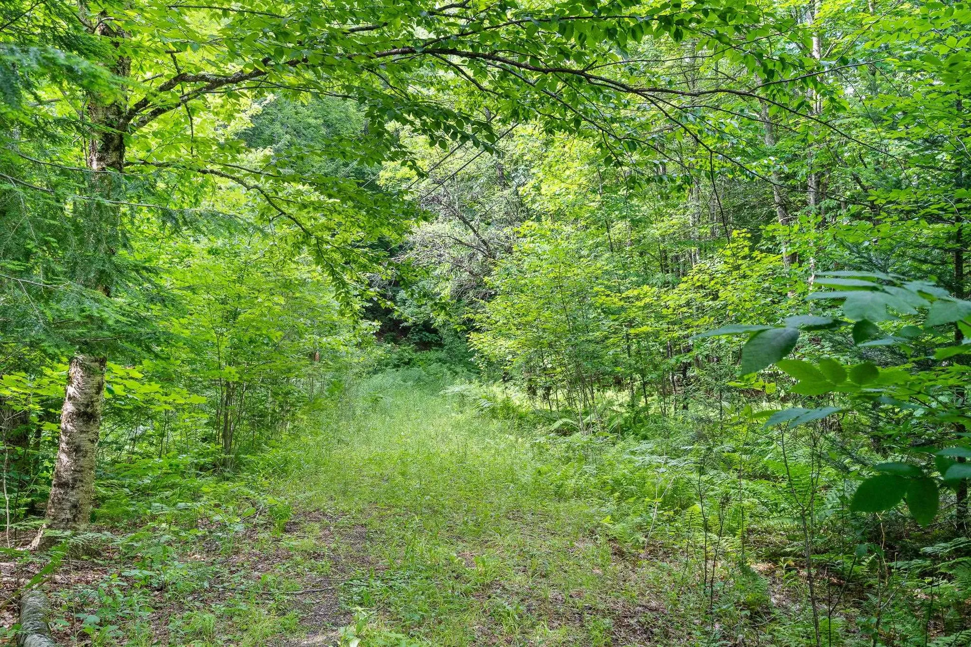 Tbd Wilder Road Duxbury VT 05660
