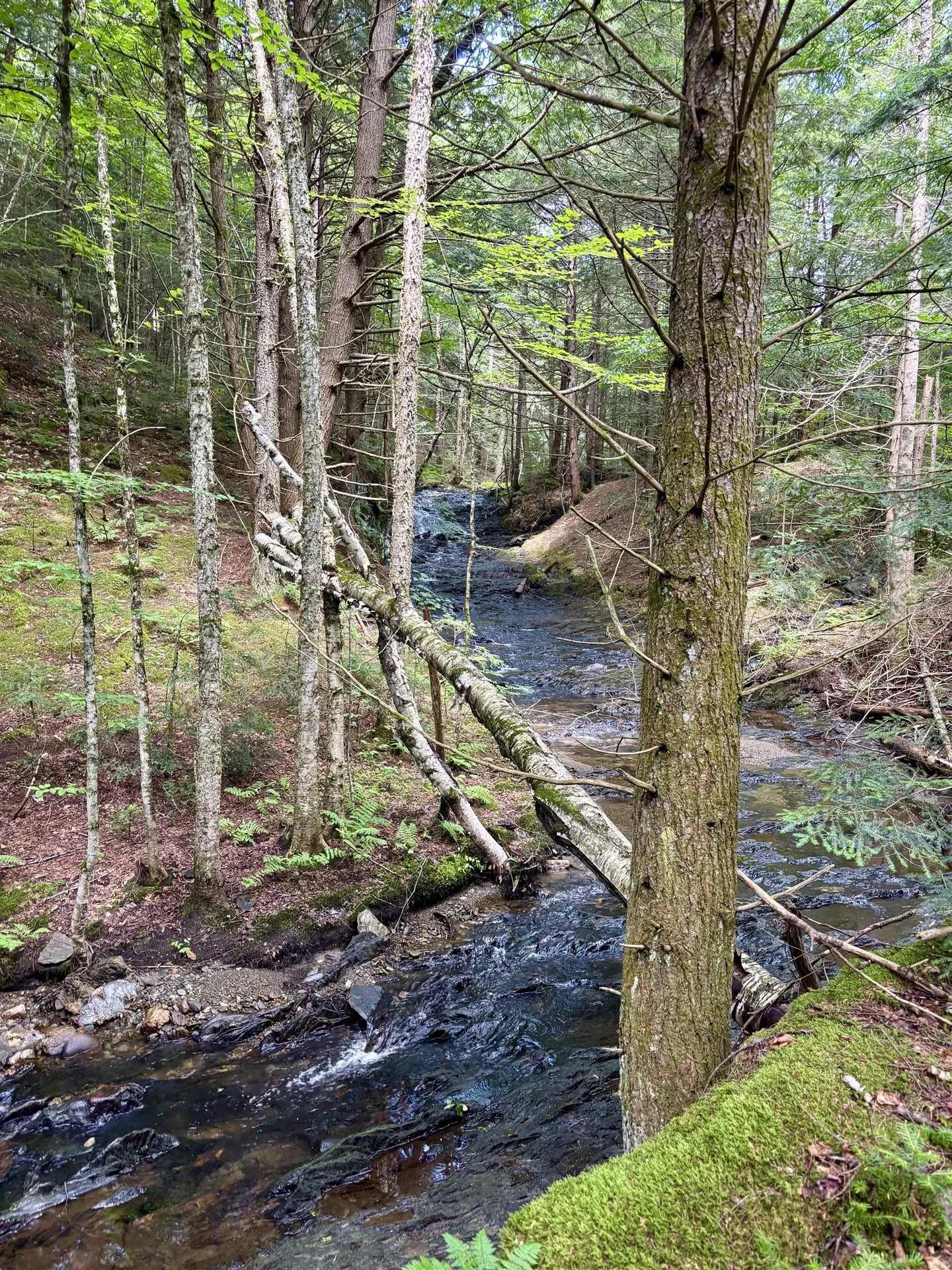 Tbd Wilder Road Duxbury VT 05660