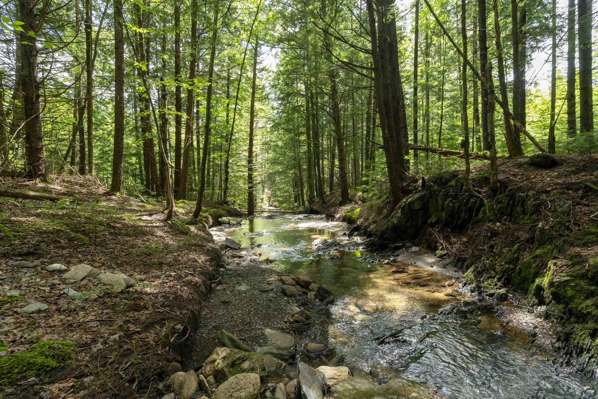 Tbd Wilder Road Duxbury VT 05660