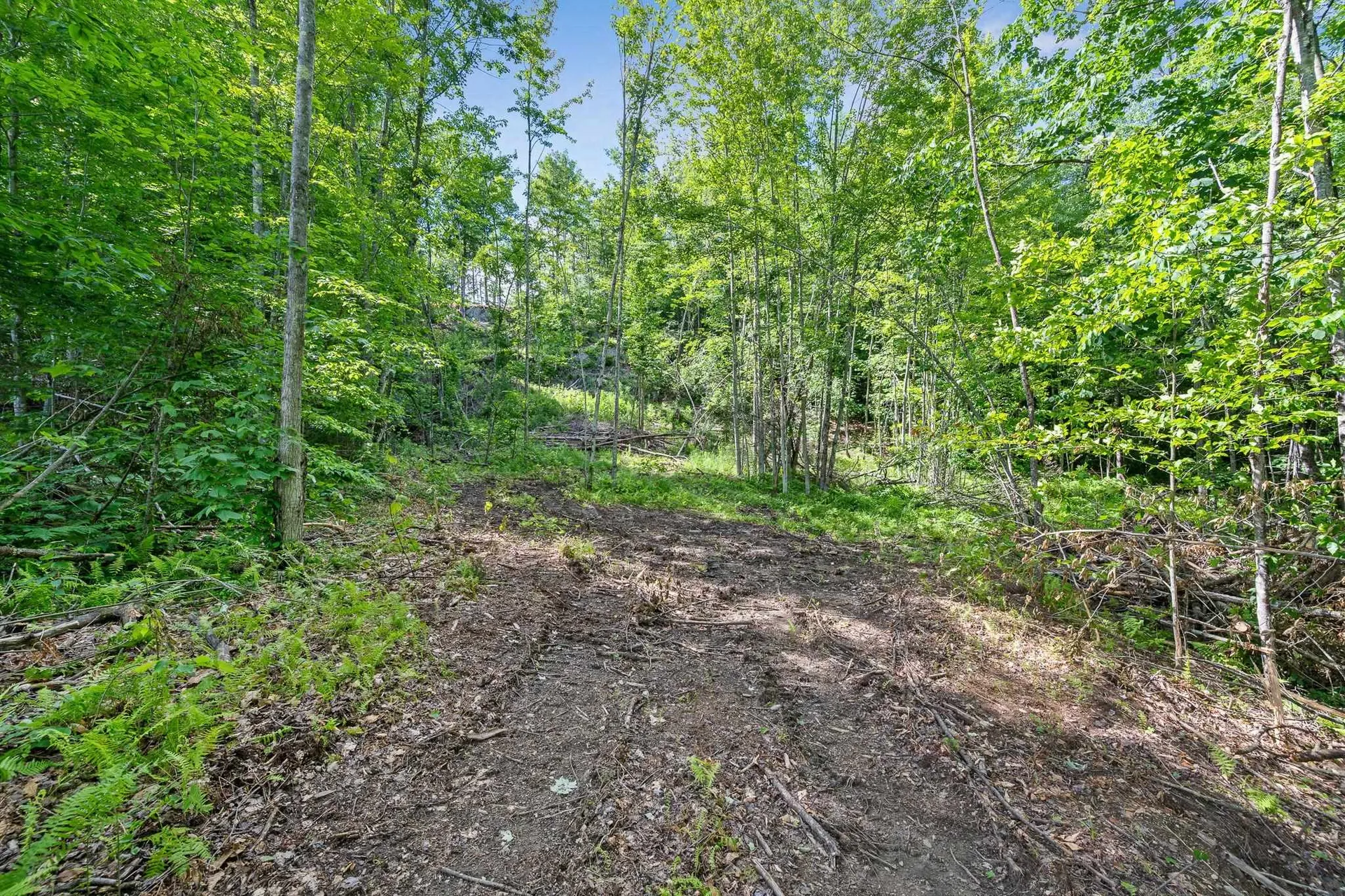 Tbd Wilder Road Duxbury VT 05660