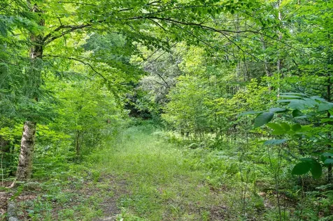 Tbd Wilder Road Duxbury VT 05660