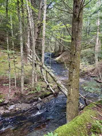 Tbd Wilder Road Duxbury VT 05660