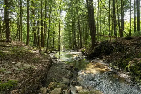 Tbd Wilder Road Duxbury VT 05660