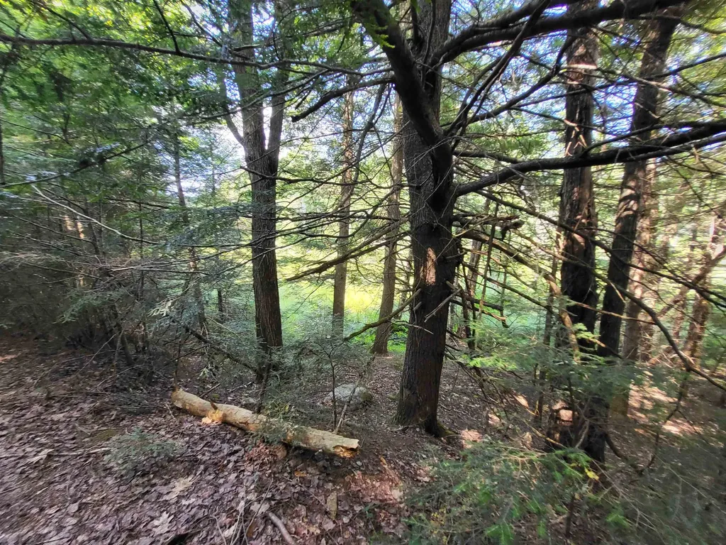 20 Hilliard Road Hill NH 03243