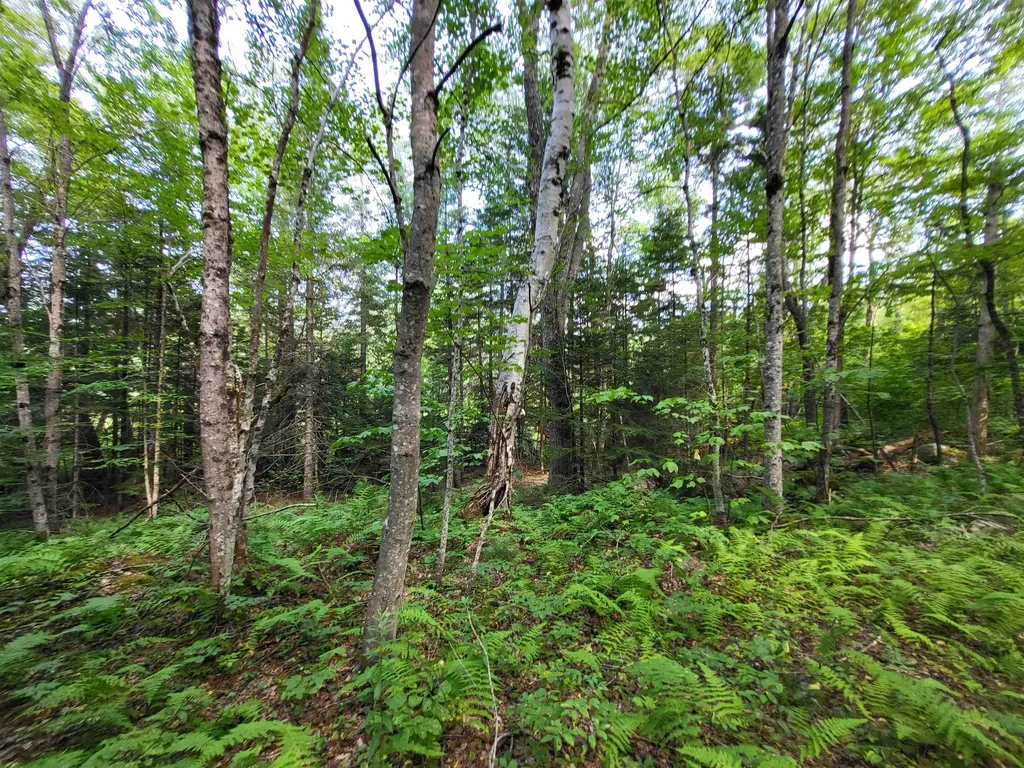 20 Hilliard Road Hill NH 03243