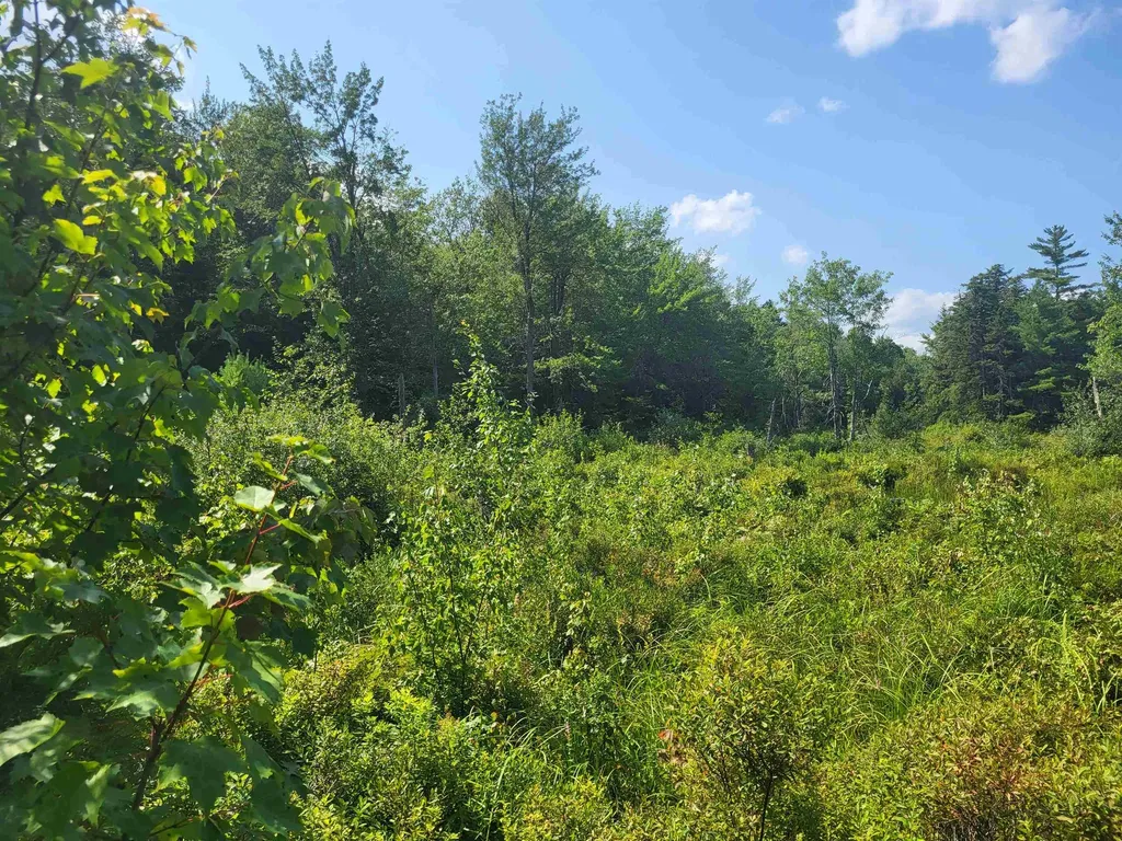 20 Hilliard Road Hill NH 03243