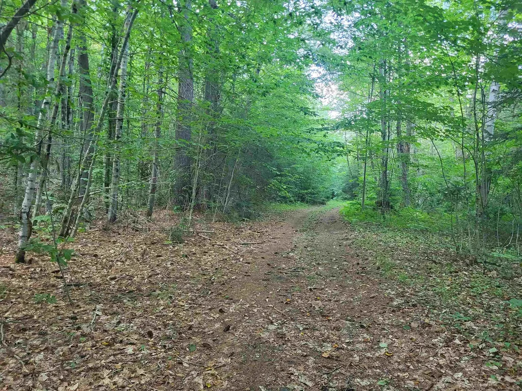 20 Hilliard Road Hill NH 03243