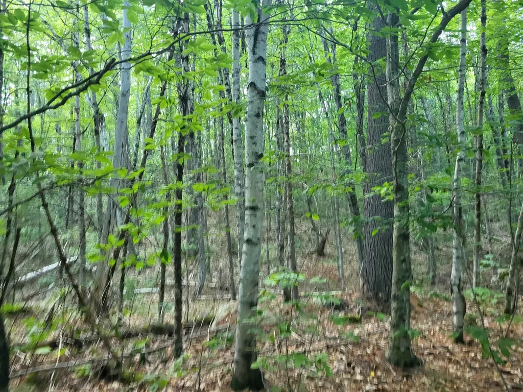 20 Hilliard Road Hill NH 03243