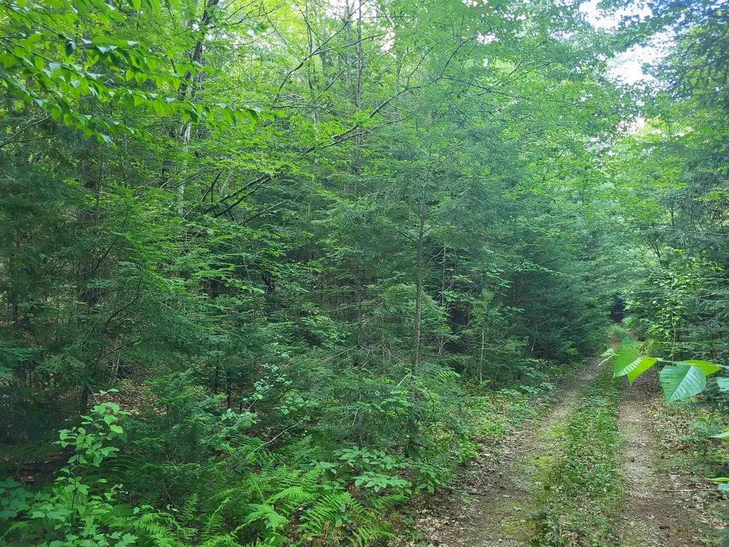 20 Hilliard Road Hill NH 03243