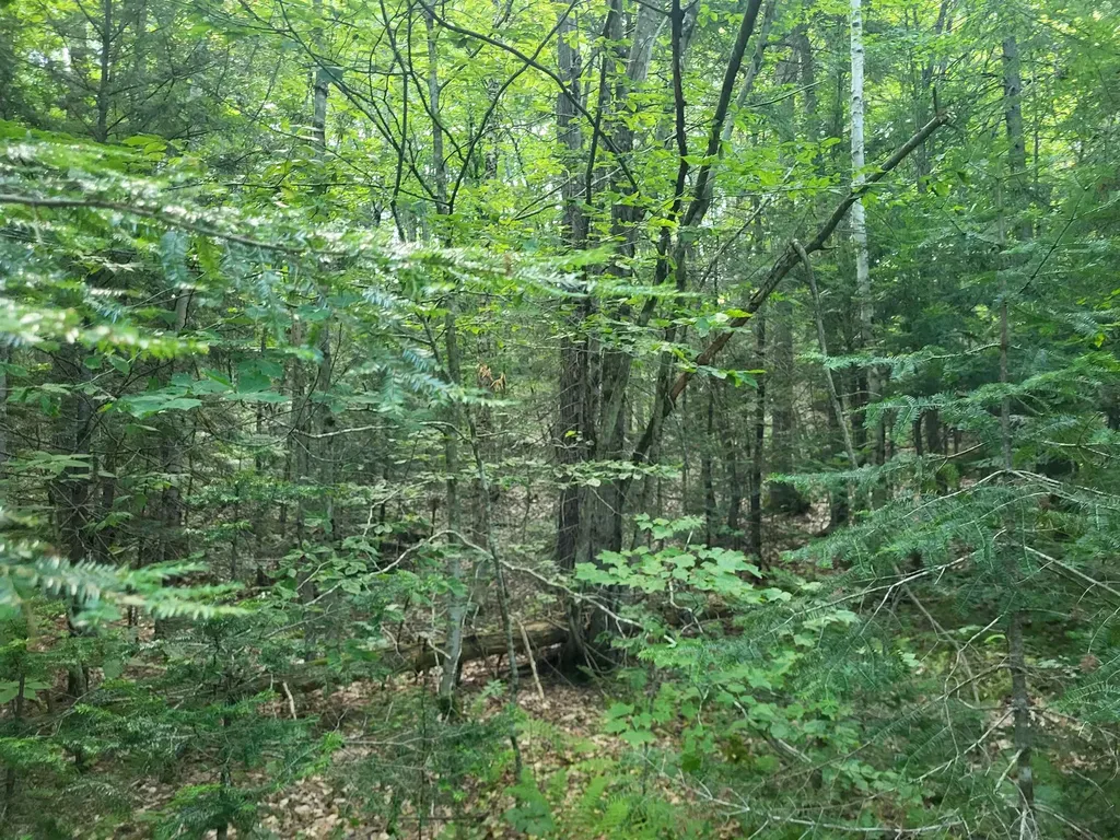 20 Hilliard Road Hill NH 03243