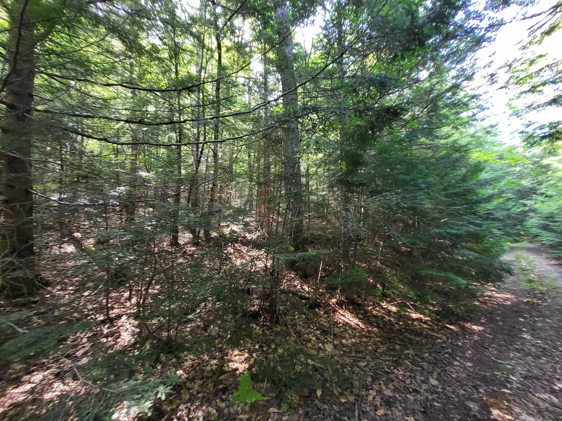 20 Hilliard Road Hill NH 03243