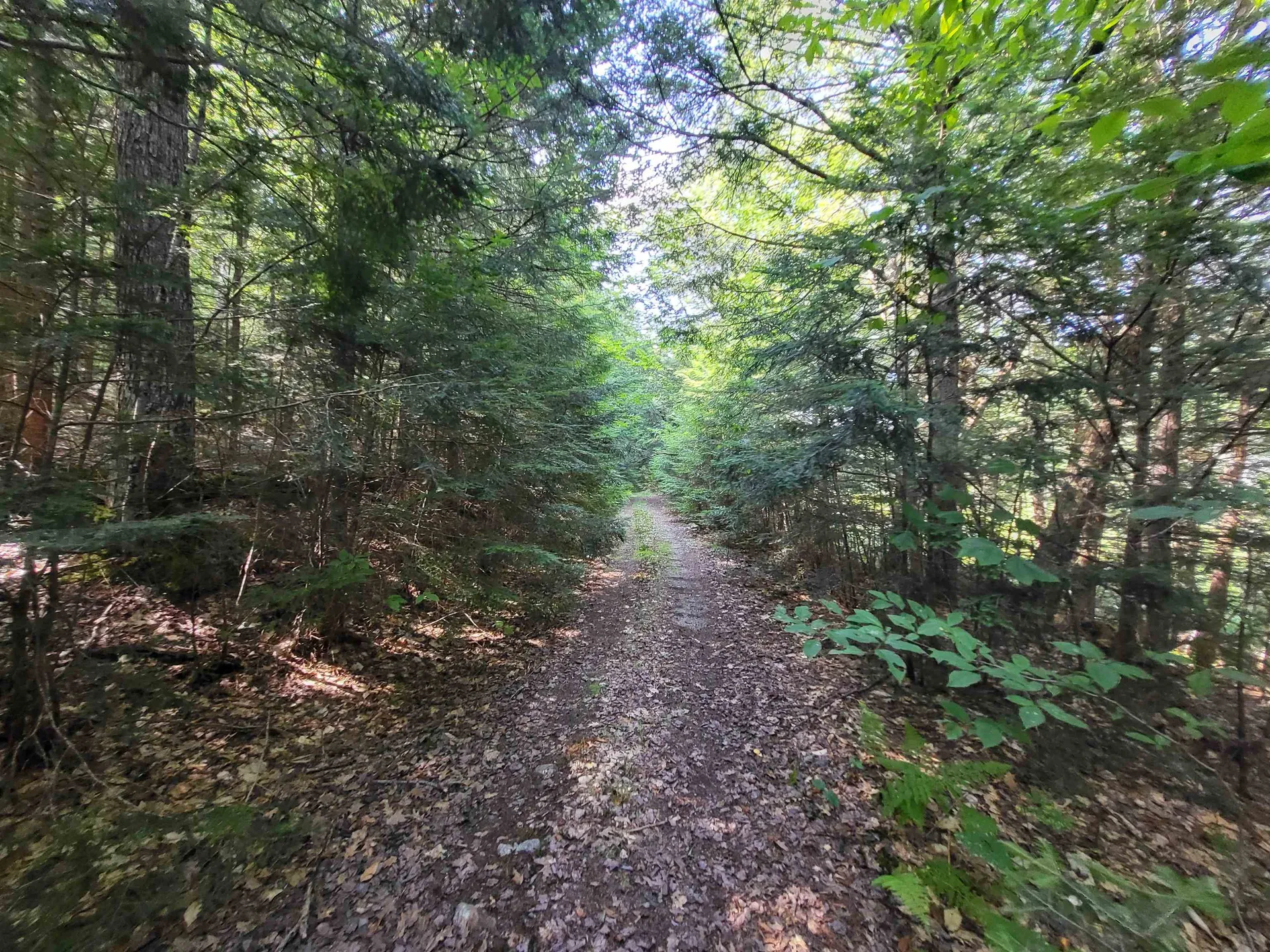 20 Hilliard Road Hill NH 03243