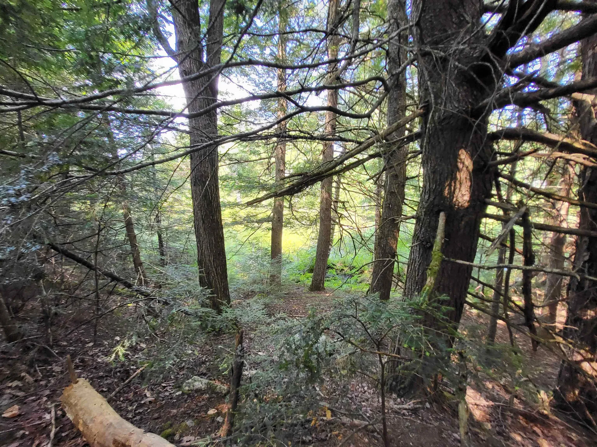 20 Hilliard Road Hill NH 03243