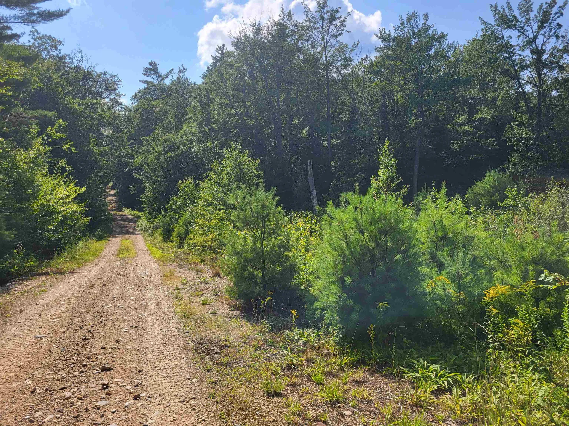 20 Hilliard Road Hill NH 03243