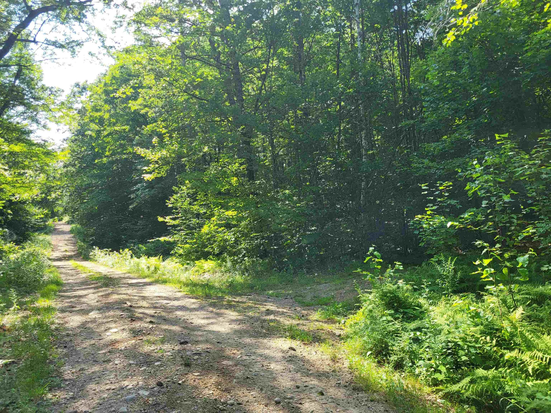 20 Hilliard Road Hill NH 03243