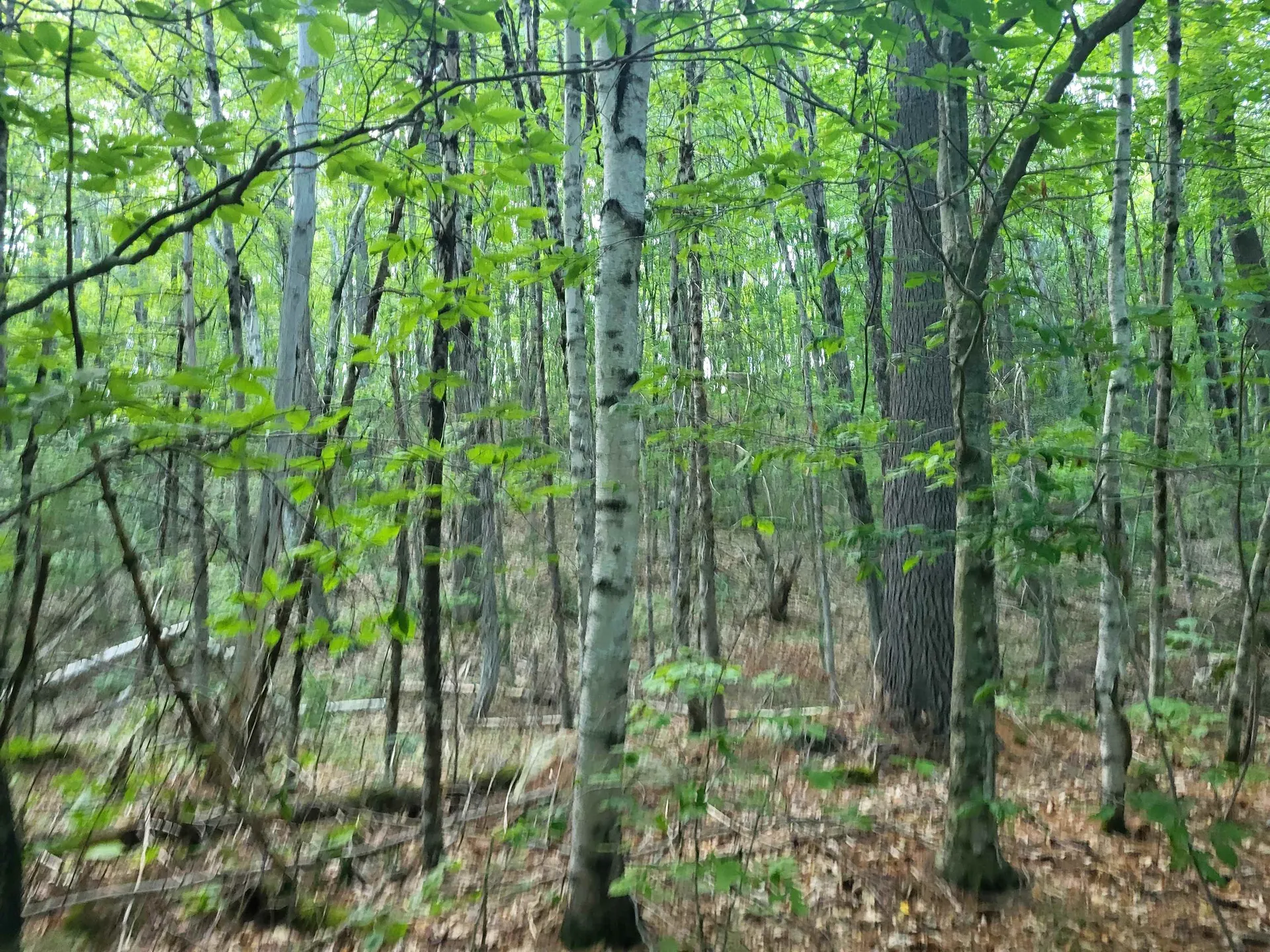 20 Hilliard Road Hill NH 03243