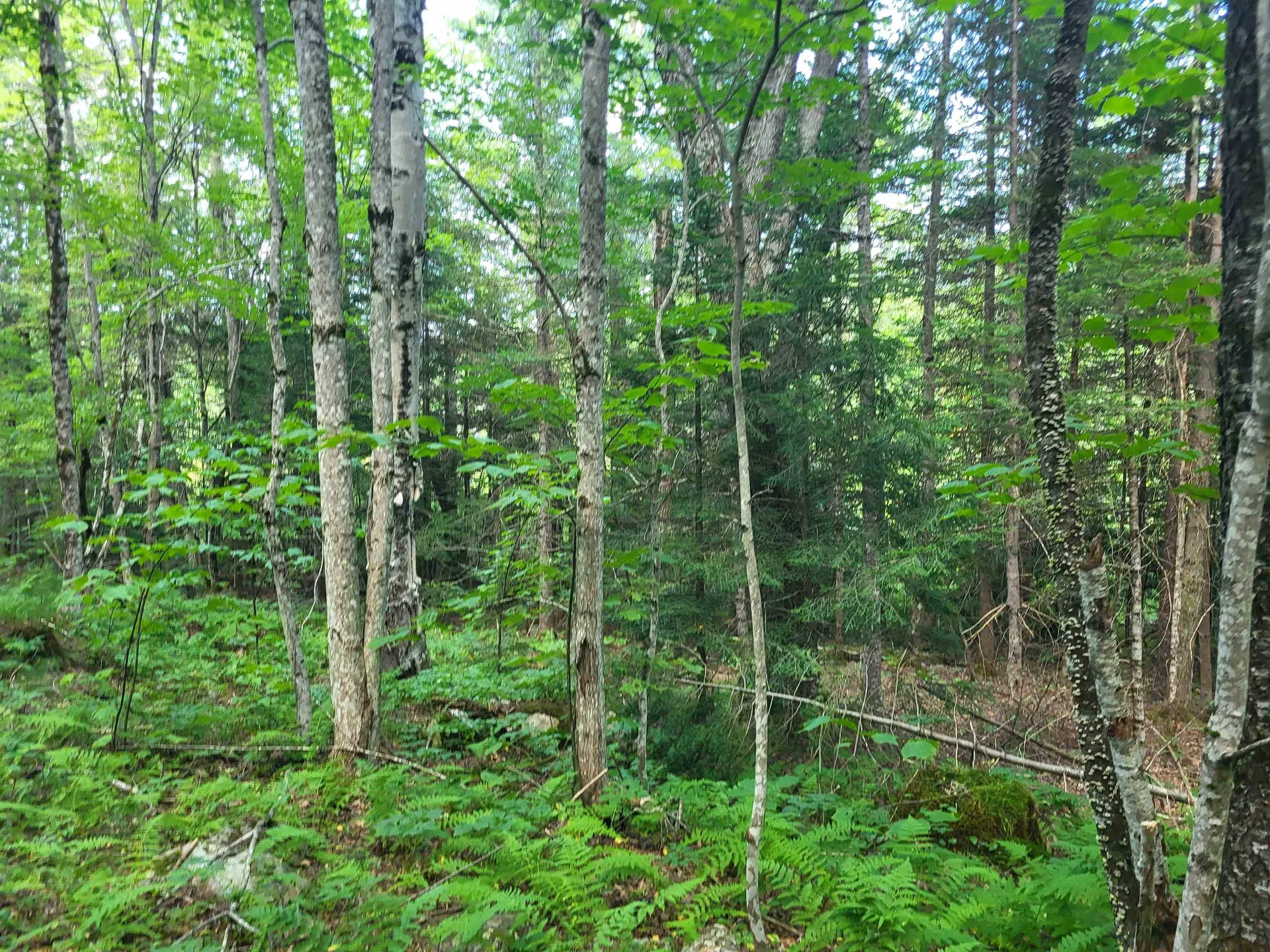 20 Hilliard Road Hill NH 03243