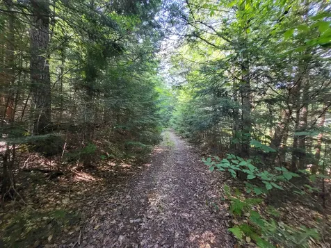 20 Hilliard Road Hill NH 03243