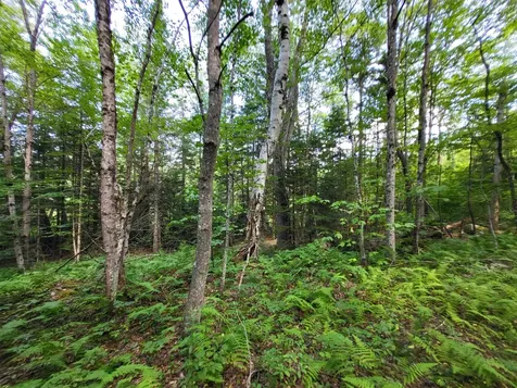 20 Hilliard Road Hill NH 03243