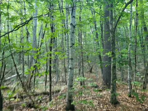 20 Hilliard Road Hill NH 03243