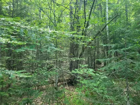 20 Hilliard Road Hill NH 03243