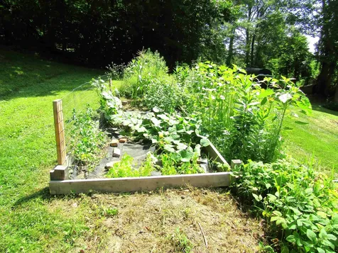 32 Old Warner Road Bradford NH 03221