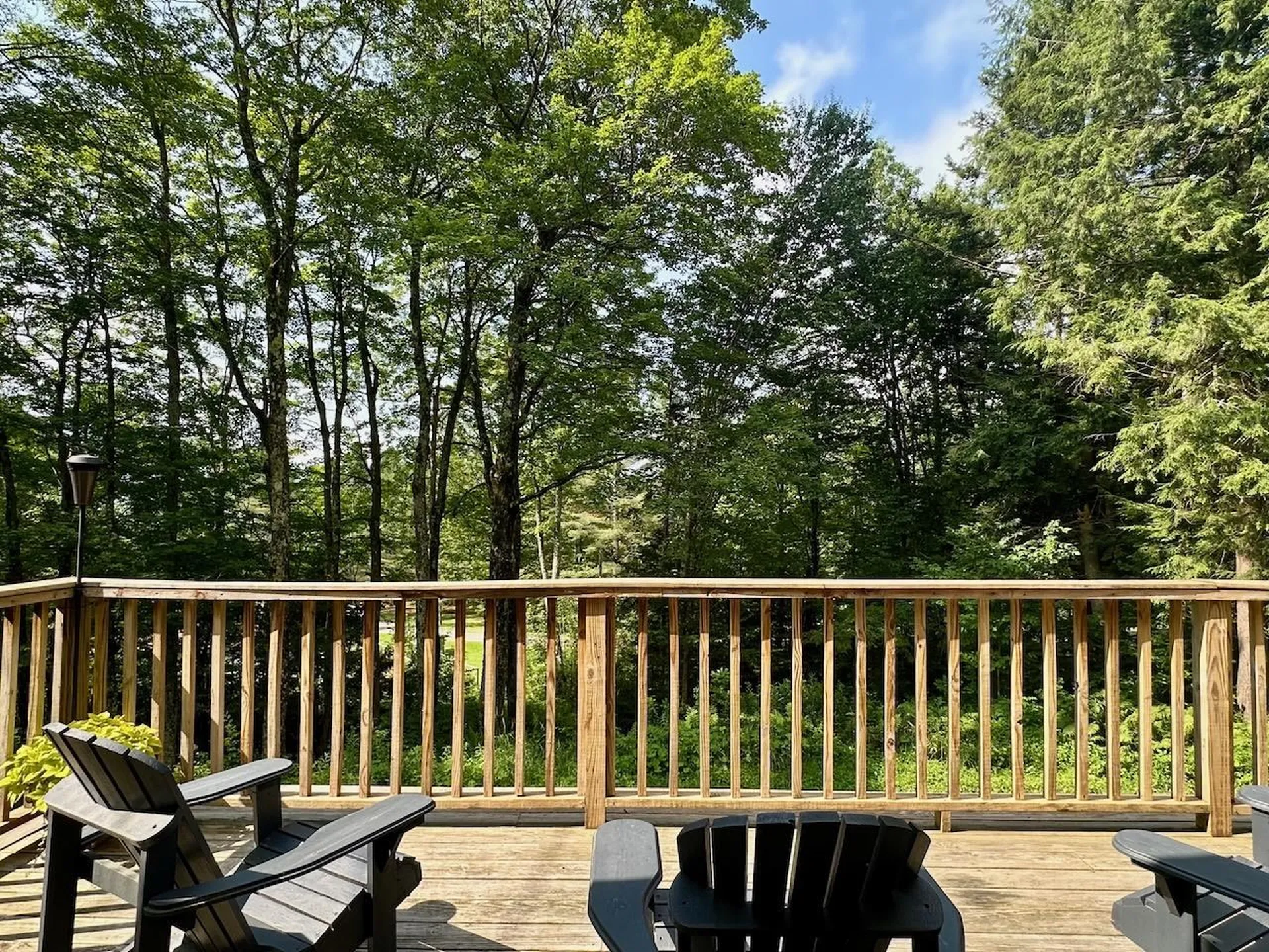 74 Park Drive Westfield VT 05874